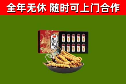 西湖区回收冬虫夏草价格
